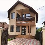 Casa David