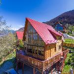 Casa Carpathian Log Home