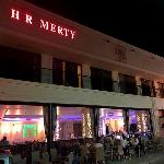 Hotel Merty