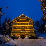 Hotel Regal Sinaia