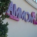 Hotel Ammon