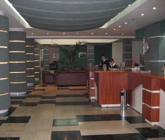 Hotel Bradul