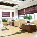 Hotel Phoenicia Comfort