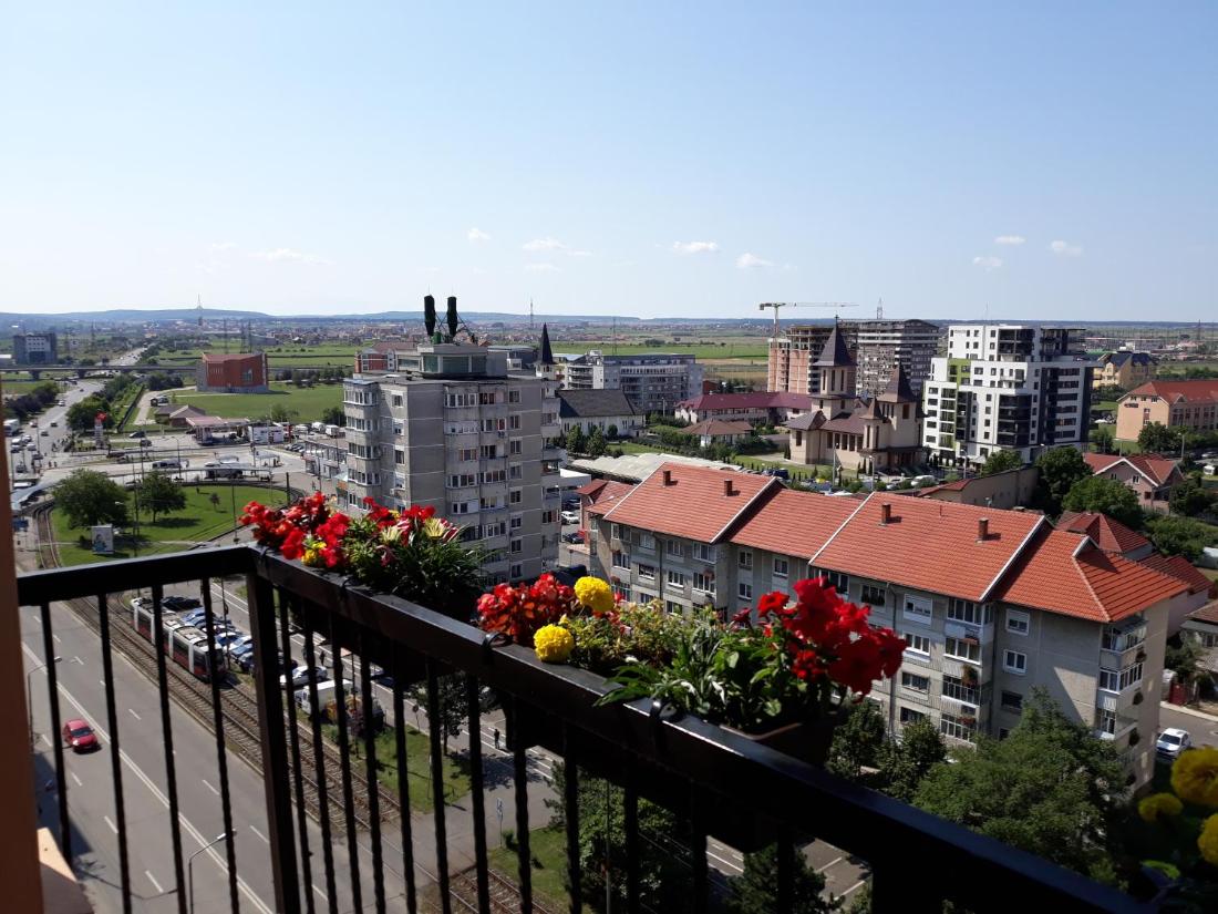 Apartament Penthouse Nufarul