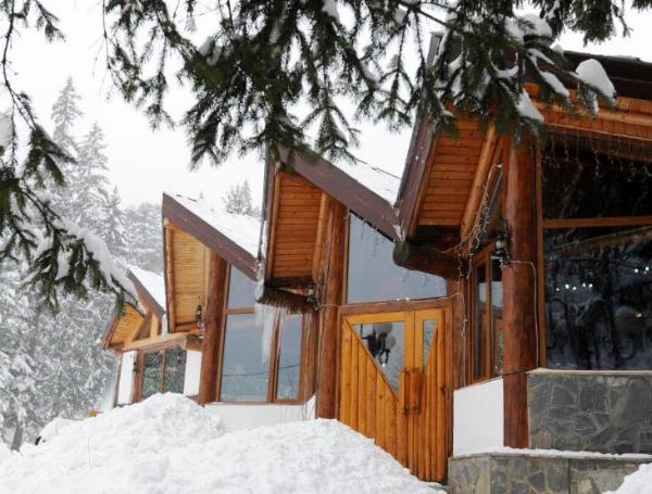 Cabana Gura Diham - poza 15