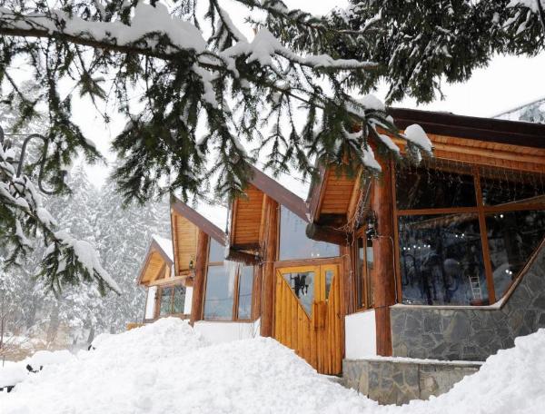 Cabana Gura Diham - poza 2