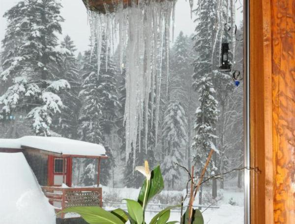 Cabana Gura Diham - poza 30