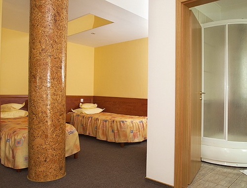 Hotel Ambient - poza 9