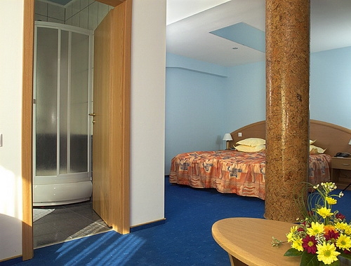 Hotel Ambient - poza 10