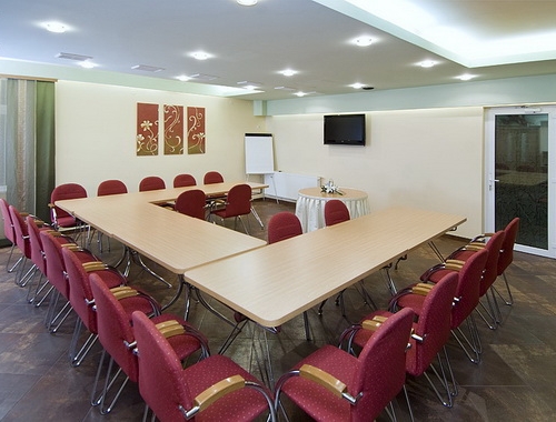 Hotel Ambient - poza 30