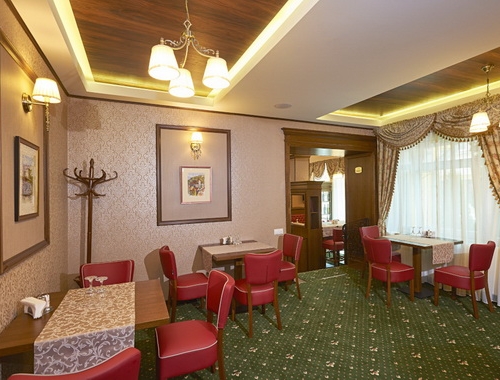 Hotel Ambient - poza 38