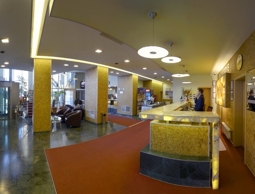 Hotel Ambient - poza 3