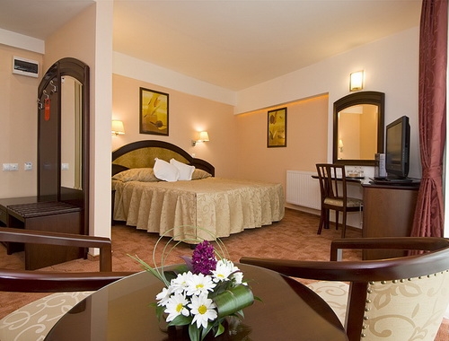 Hotel Ambient - poza 4