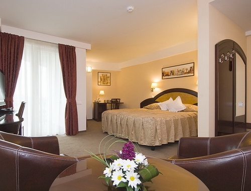 Hotel Ambient - poza 5