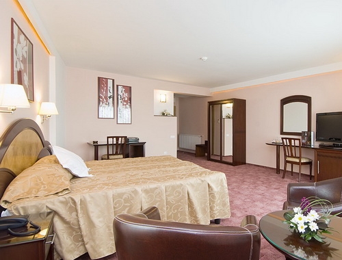 Hotel Ambient - poza 6