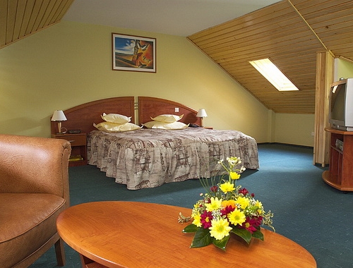 Hotel Ambient - poza 8