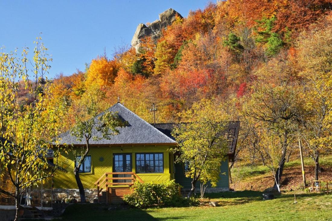 Pensiunea Alunis Retreat
