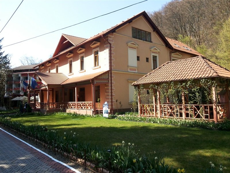 Vila Cerbul Albastru