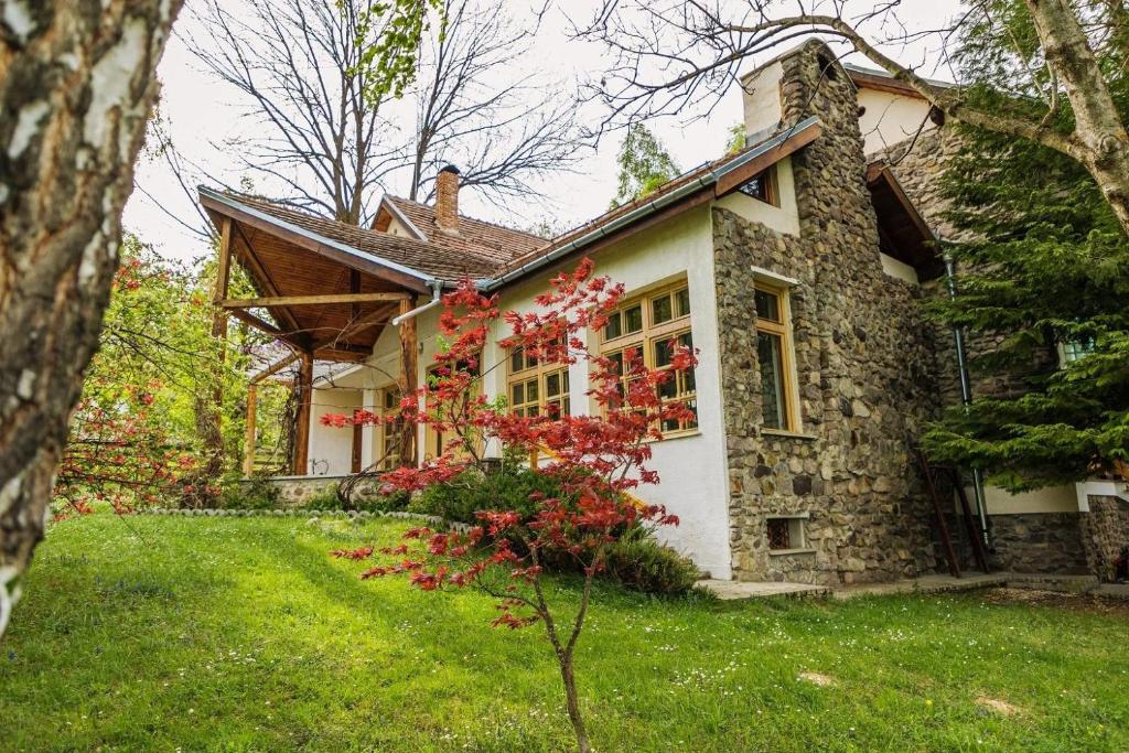 Villa Alba By Akasha Retreat